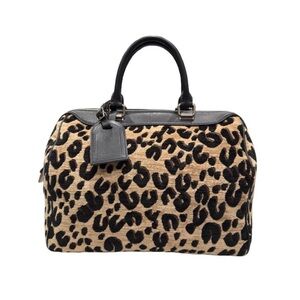 Louis Vuitton x Stephen Sprouts Leopard Speedy